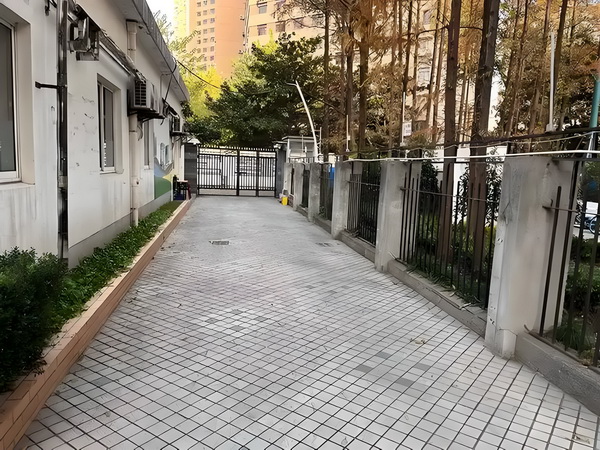 丫头我要你幸福