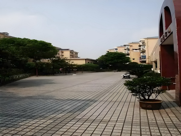 主流穿越：侠女养成记